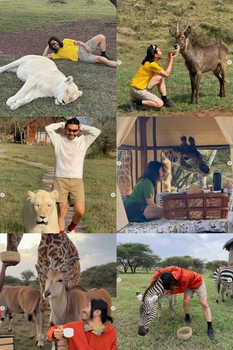 AI 아니었어? 아프리카 간 노홍철, 잠든 사자 만졌다 '깜짝' [N샷]