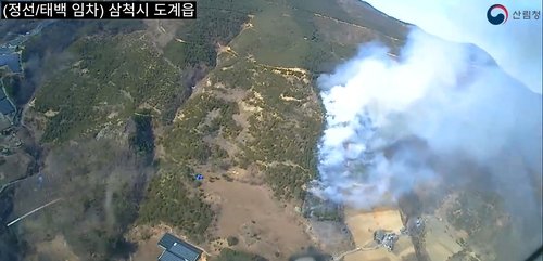 삼척 도계읍 산불 (출처=연합뉴스)