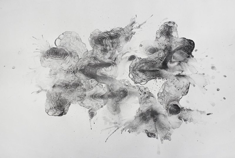 유기주, 가제-진화, 2026, 종이 위에 흑연과 혼합재료, 76x112cm *재판매 및 DB 금지