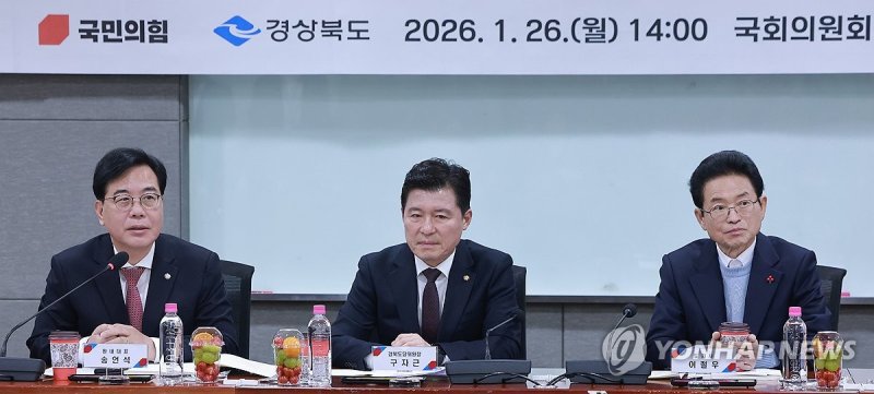 대구경북통합 간담회에서 발언하는 국민의힘 송언석 원내대표 (출처=연합뉴스)