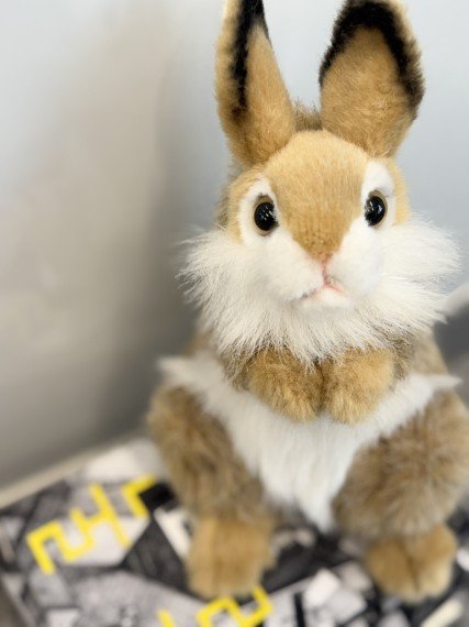 SF 작가 듀나의 프로필 캐릭터인 '듀나벨' (출처=연합뉴스)