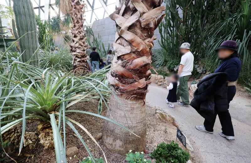 [서울=뉴시스] 조성우 기자 = 서울 낮 기온이 영상으로 회복한 1일 오후 서울 강서구 서울식물원에서 가벼운 옷차림의 시민들이 온실을 둘러보고 있다. 2026.02.01. xconfind@newsis.com