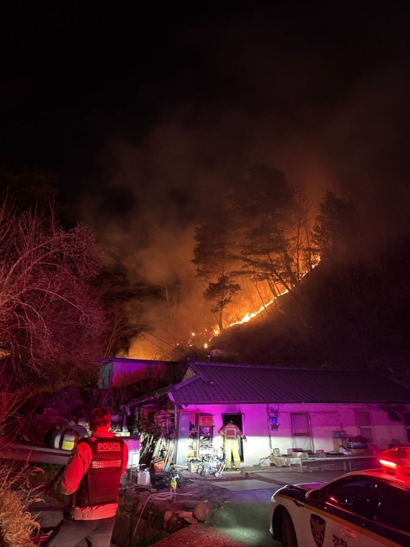 동해 달방동 야산 화재 (출처=연합뉴스)
