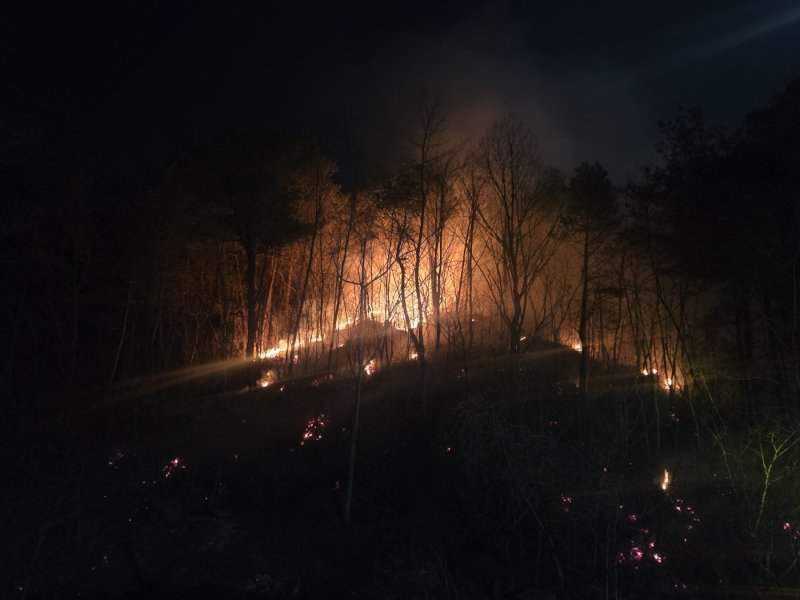 1일 오후 강원 동해시 달방동 산불 현장.(강원도 산불방지대책본부 제공, 재판매 및 DB 금지) 2026.2.1/뉴스1
