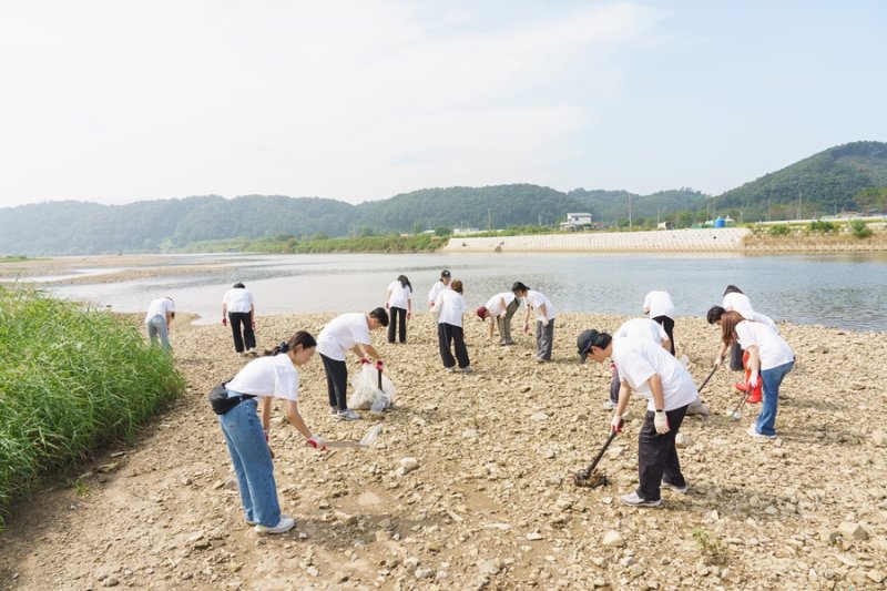 [서울=뉴시스] 보령 임직원들이 예당호 주변 생태보호구역에서 플로깅 봉사활동을 진행하고 있다. (사진=보령 제공) 2026.2.2. photo@newsis.com *재판매 및 DB 금지