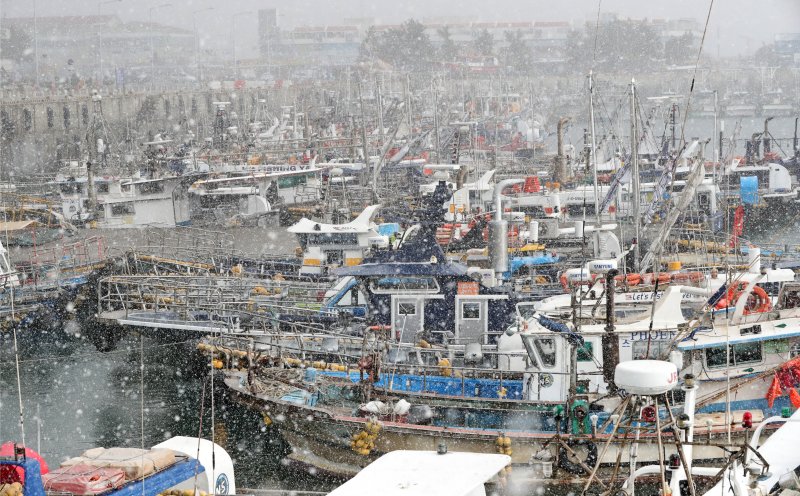 서해안에 정박된 선박들 위로 눈이 내리고 있다. /뉴스1 ⓒ News1 문요한 기자