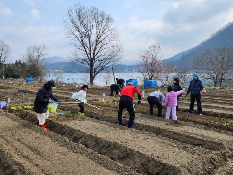 동행서울 친환경농장 텃밭.(서울시 제공)