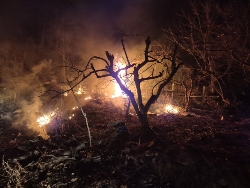 1일 오후 8시 53분쯤 전남 강진군 덕룡산에서 농막에서 난 불이 옮겨붙어 산불이 나 소방당국이 진화하고 있다.(전남소방본부 제공. 재판매 및 DB 금지)