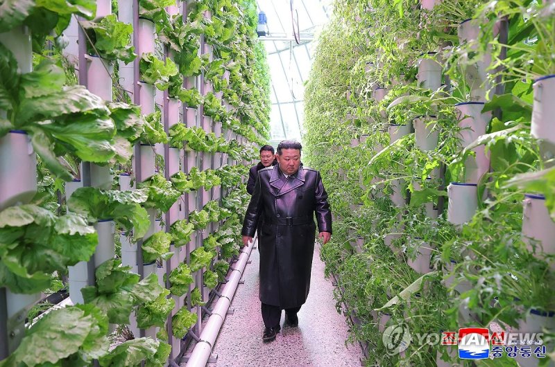 김정은, 신의주 온실종합농장 준공식 참석 (출처=연합뉴스)
