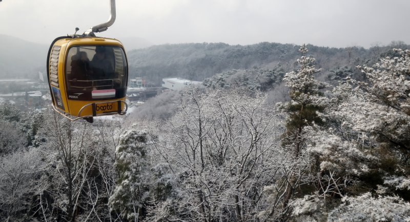 경북도는 2일 산림을 '보존대상’에서 ‘성장의 자산’으로 전환해 임산업을 지역 경제 활성화와 인구감소 대응을 위한 미래 먹거리 산업으로 육성한다. 사진은 팔공산케이블카에서 바라본 팔공산 2024.1.10/뉴스1 ⓒ News1 공정식 기자