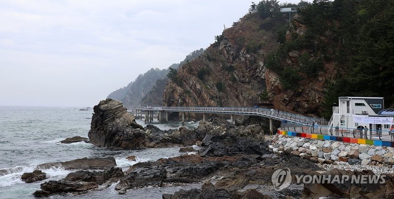 강릉 해안단구길 (출처=연합뉴스)