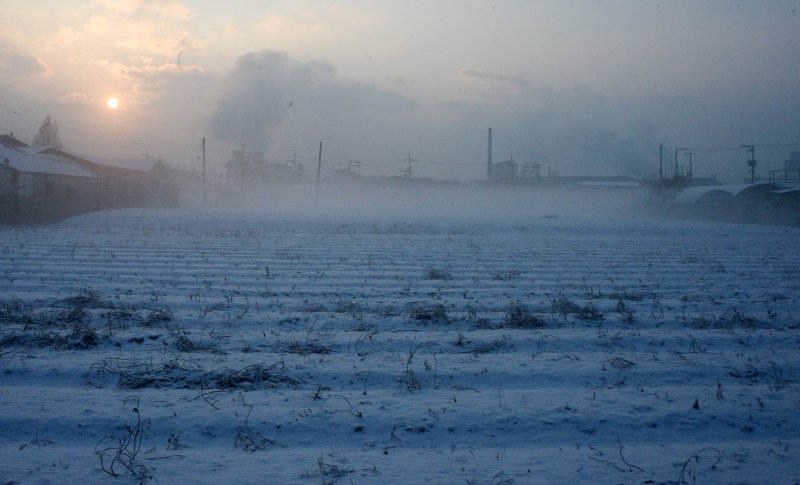 [전주=뉴시스] 김얼 기자 = 전북 전역에 대설주의보가 내려진 2일 전북 전주시 덕진구 팔복동의 한 논에 눈이 자욱하게 쌓여 있다. 2026.02.02. pmkeul@newsis.com