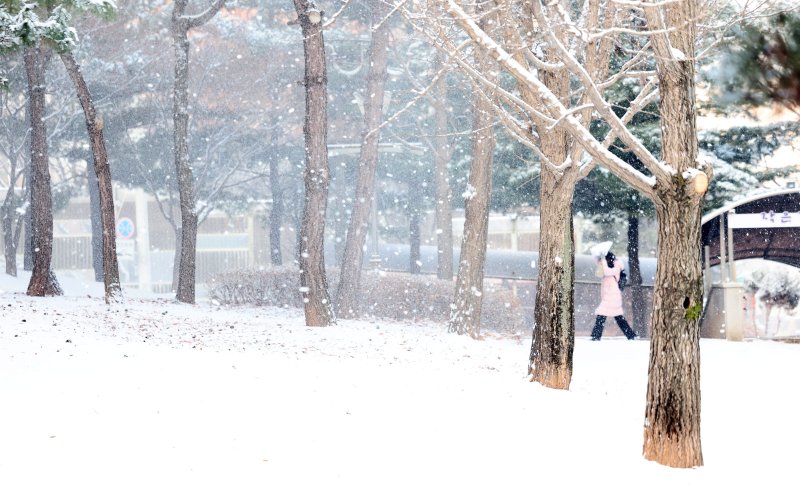 [인천=뉴시스] 전진환 기자 = 밤사이 눈이 내린 2일 오전 인천 남동구 중앙공원에서 한 시민이 바람에 날리는 눈을 맞으며 걸어가고 있다. 2026.02.02. amin2@newsis.com