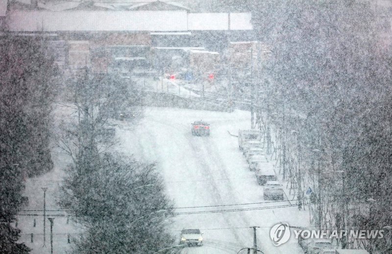 '눈 쌓이는 대구' (출처=연합뉴스)