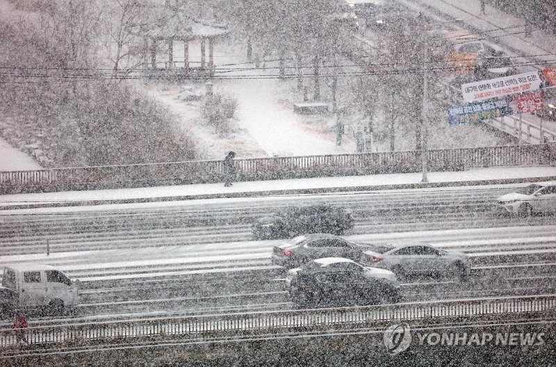 '눈 쌓이는 대구' (출처=연합뉴스)