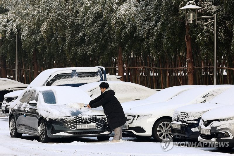 쌓인 눈 털어내기 (출처=연합뉴스)