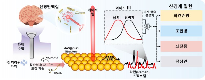 [창원=뉴시스]타액 기반 신경계 질환 진단 기술 모식도. 타액(침)만을 채취하여 3차원 복합(AuS@CuO) 나노구조체 소재를 이용해 매우 약한 신경 단백질의 라만 신호를 크게 증폭해 검출하고, 이를 머신러닝으로 분석함으로써 파킨슨병, 조현병, 뇌전증과 같은 난치성 신경계 질환을 정확하게 구분·진단할 수 있다.(자료=한국재료연구원 제공) 2026.-2.02. photo@newsis.com