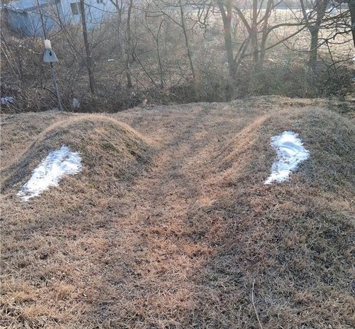 소금 뿌려진 묘지 (출처=연합뉴스)