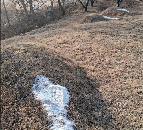 소금 뿌려진 묘소 (출처=연합뉴스)