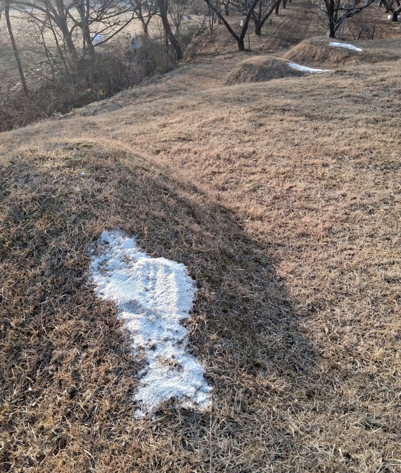 [옥천=뉴시스] 묘 위에 뿌려진 소금. (사진=독자 제공) 2026.02.02. photo@newsis.com *재판매 및 DB 금지