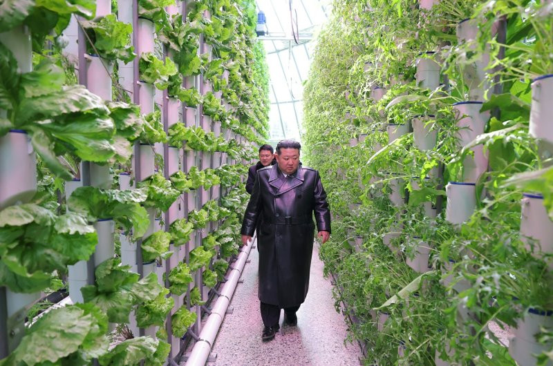 (평양 노동신문=뉴스1) = 북한 노동당 기관지 노동신문은 2일 김 총비서가 전날 열린 신의주온실종합농장 준공식에 참석했다고 보도했다. 신문은 이 농장을 "김정은 시대의 위대한 변천사를 증견하는 또 하나의 긍지 높은 기념비적 창조물이며 우리의 청년 건설자들이 조선노동당 제9차 대회에 드리는 자랑찬 충성의 선물"이라고 평가했다. [국내에서만 사용가능. 재배포 금지. DB 금지. For Use Only in the Republic of Korea. Redistribution Prohibited] rodongphoto@news1.kr