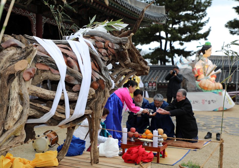 제주 새봄맞이 전통축제 '탐라국 입춘굿' 첫날인 2일 오후 제주시 관덕정 앞에서 나무로 만든 소를 모시고 한 해 풍년을 기원하며 고사를 지내는 '낭쉐코사'가 봉행되고 있다. ⓒ News1 오미란 기자