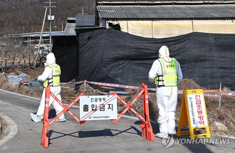 출입 통제된 구제역 발생 한우농장 (출처=연합뉴스)