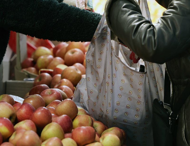 정부가 역대 최대 규모의 공급·할인 대책을 담은 '2026년 설 민생안정 대책'을 발표한 지난달 28일 오전 서울 동대문구의 한 전통시장에서 시민들이 장을 보고 있다. 2026.1.28/뉴스1 ⓒ News1 오대일 기자