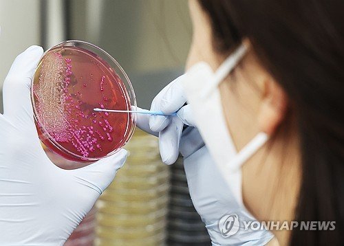 기사 내용과는 상관없음 (출처=연합뉴스)