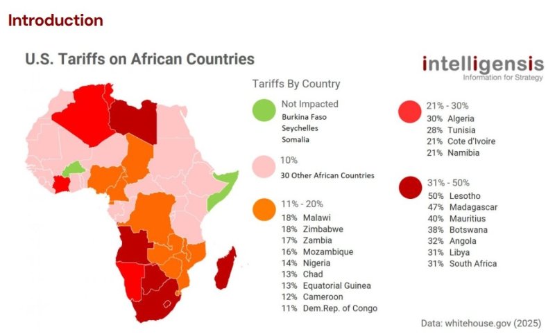 미국의 아프리카 국가별 상호관세 부과 현황 (출처=연합뉴스)