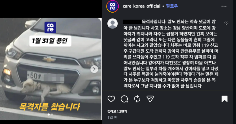 /사진=동물권단체 '케어' 인스타그램 캡처
