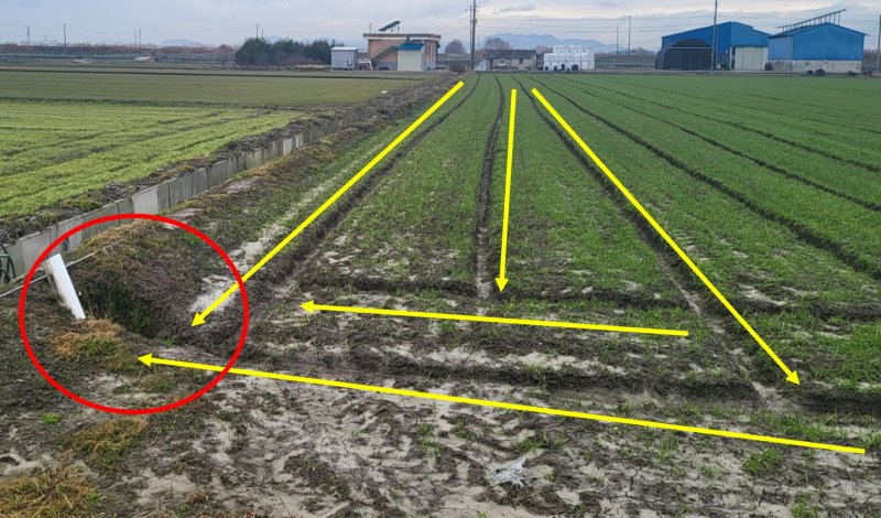 [세종=뉴시스] 농촌진흥청은 겨울을 난 보리·밀 등 맥류가 다시 자라기 시작하는 '생육 재생기'를 앞두고 수량성과 품질을 높이기 위한 철저한 재배 관리를 3일 당부했다. 사진은 배수로를 연결하는 모습. (사진=농진청 제공) 2026.02.03. photo@newsis.com *재판매 및 DB 금지