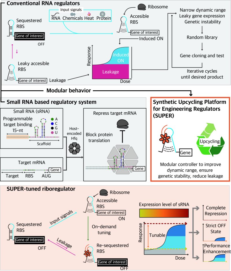 포스텍 김종민 교수 연구 이미지. (포스텍 제공, 재판매 및 DB금지) 2026.2.3/뉴스1