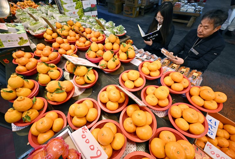 민족 대명절 설을 2주 앞둔 3일 경기 수원시 팔달구 못골시장에서 국립농산물품질관리원 경기지원 수원사무소 관계자들이 설을 앞두고 원산지 표시 점검을 하고 있다. (공동취재) 2026.2.3/뉴스1 ⓒ News1 김영운 기자