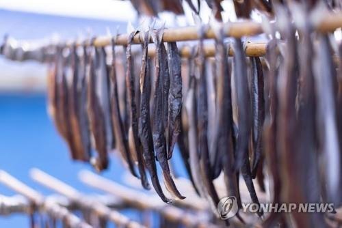 포항 과메기 (출처=연합뉴스)