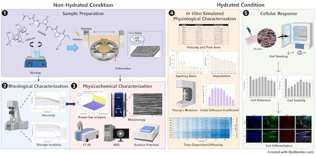 [서울=뉴시스] 연구진이 개발한 복합 지지체 개념도. (사진=이화여대 제공) 2026.02.03. photo@newsis.com *재판매 및 DB 금지