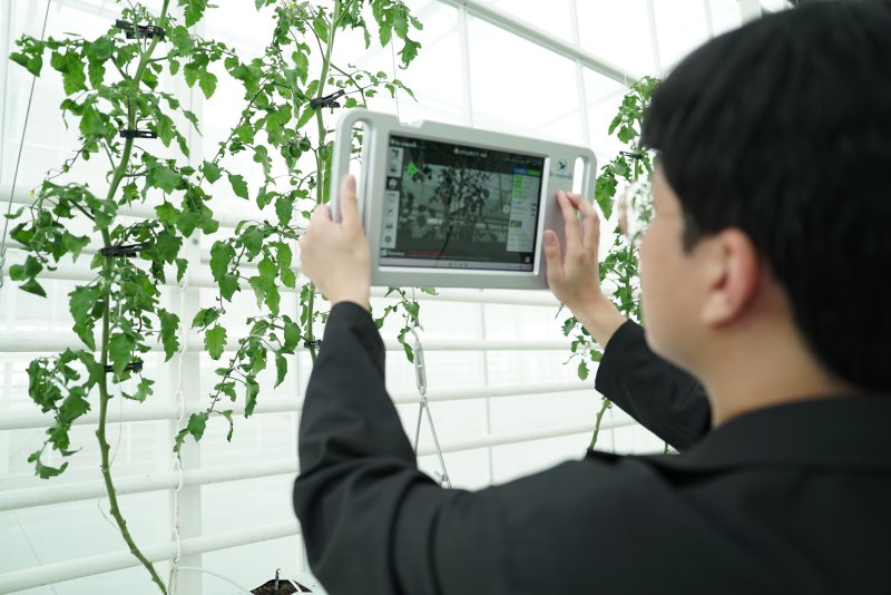 [세종=뉴시스] 사진은 지난해 9월23일 경북 상주시 스마트팜 혁신밸리 내 실증 온실에서 인공지능(AI)을 접목한 스마트농업데이터 수집 및 활용 서비스에 대한 시연회가 진행되고 있는 모습. (사진=농림축산식품부) 2025.09.24. photo@newsis.com *재판매 및 DB 금지