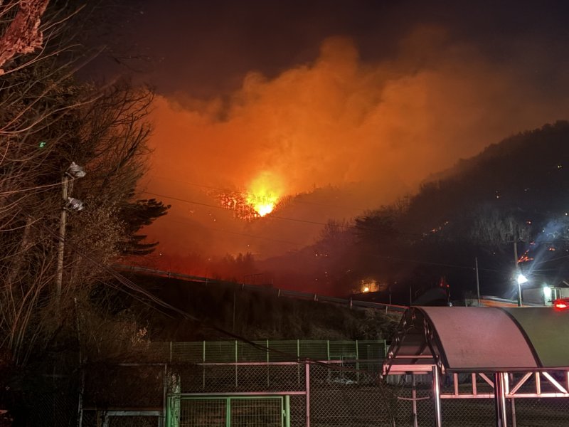 지난 1월 전남 광양 옥곡면 백운산 자락서 난 산불이 야간까지 이어지면서 소방당국이 대응 2단계를 발령하고 진화에 총력을 다하고 있다. 2026.1.21/뉴스1 ⓒ News1 김성준 기자