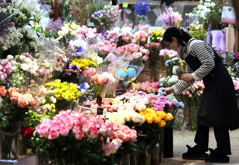 절기상 입춘(立春)인 4일 서울 서초구 양재꽃시장에서 직원이 꽃을 고르고 있다. 2026.2.4/뉴스1 ⓒ News1 구윤성 기자