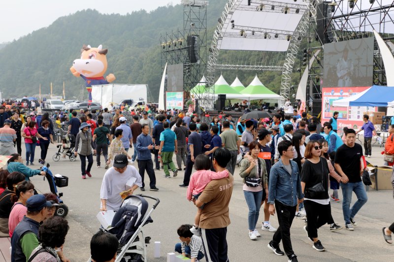 강원 횡성군 횡성읍 섬강둔치 주변에서 열린 제 15회 횡성한우축제 자료 사진. (뉴스1 DB)