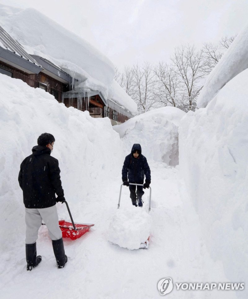아오모리현에 내린 폭설 (출처=연합뉴스)