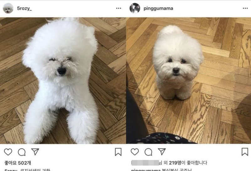 사진=온라인 커뮤니티 갈무리