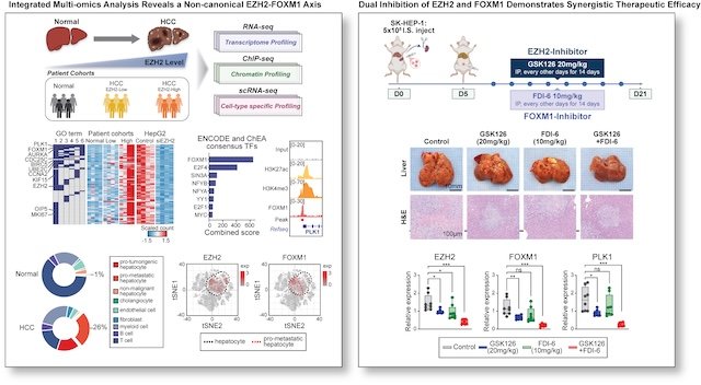 [서울=뉴시스] 연구 개념도 및 결과지. (사진=숙명여대 제공) 2026.02.05. photo@newsis.com *재판매 및 DB 금지
