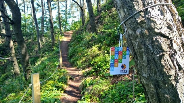 서해랑길 모습(태안군 제공. 재판매 및 DB금지)2026.2.5/뉴스1
