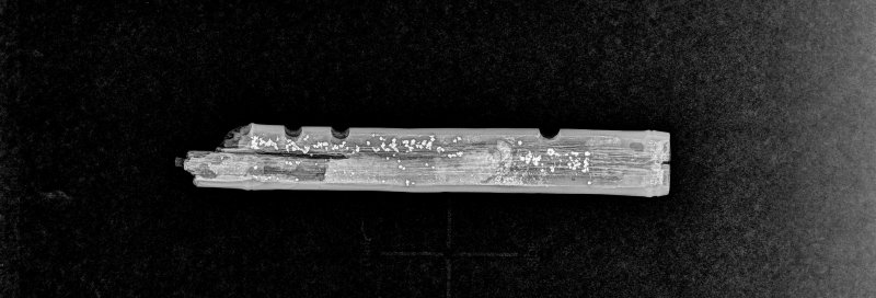 횡적 X-ray 사진(국가유산청 제공)