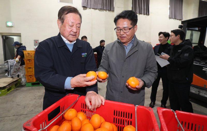 [서귀포=뉴시스] 우장호 기자 = 이춘협(오른쪽) 농협 제주본부장과 김성범 중문농협 조합장이 5일 제주 서귀포시 색달동 중문농업협동조합 유통사업소에서 만감류 대표 품종인 레드향을 살펴보고 있다.2012년 한·미 자유무역협정(FTA) 발효 당시 144%였던 미국산 만다린 수입 관세율은 매년 9.6%씩 단계적으로 인하돼 올해부터는 완전히 폐지됐다. 미국산 만다린은 주로 1~6월 국내에 유통되는데 이 시기는 제주 만감류 출하 시기와 겹쳐 가격 하락과 수익 감소가 우려되는 상황이다. 2026.02.05. woo1223@newsis.com