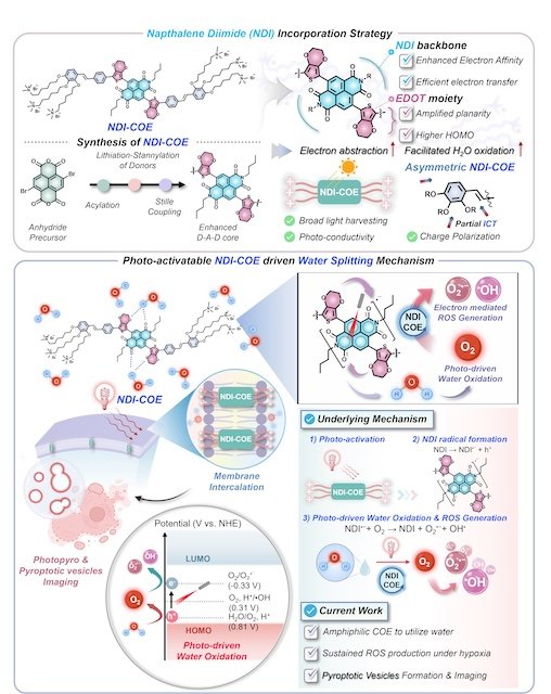 [서울=뉴시스] 연구 개념도. (사진=고려대 제공) 2026.02.05. photo@newsis.com *재판매 및 DB 금지