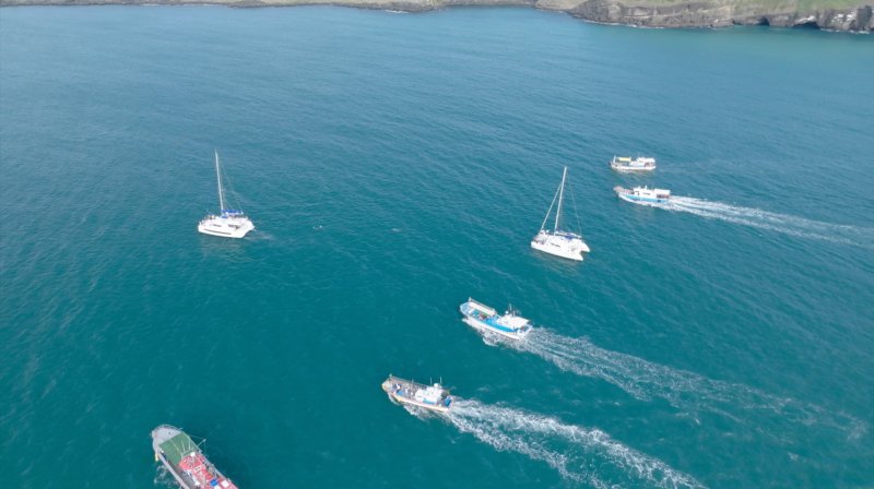 [제주=뉴시스] 해양시민과학센터 파란이 5일 발표한 '대정읍 남방큰돌고래 서식지 위협요인 조사 결과 발표' 보고서의 게시된 제주 서귀포시 대정읍 해상에서 남방큰돌고래 무리를 쫓는 관광 선박. 2026.02.05. photo@newsis.com