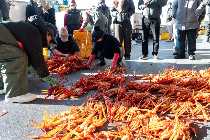 후포항 대게 어판장