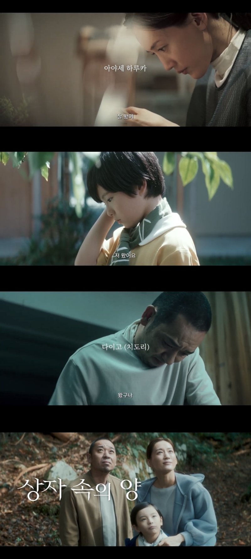 '상자 속의 양' 론칭 예고편